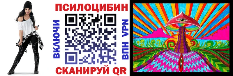 закладка Энем Псилоцибиновые грибы MAGIC MUSHROOMS